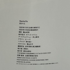 宮沢りえ Santa Feの画像