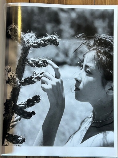 宮沢りえ Santa Fe