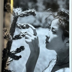 宮沢りえ Santa Feの画像