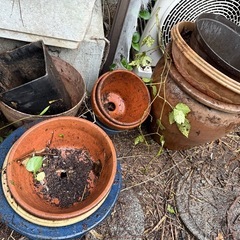 鉢植え　プランター　まとめて　　　の画像