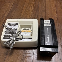 ブリヂストンYAMAHA兼用の8.9Ahバッテリーと充電器セットの画像