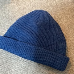 ミッキーマウス　ニット帽　大人用の画像