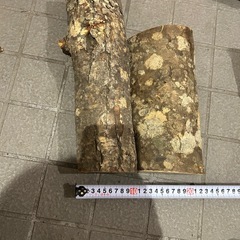 焚き火用の薪　スウェーデントーチ用の画像