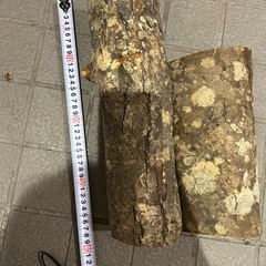 焚き火用の薪　スウェーデントーチ用の画像