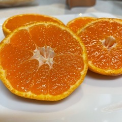 三ケ日みかん家庭用10キロの画像