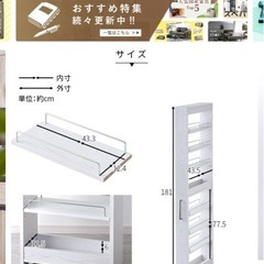 収納棚(欠陥あり)の画像