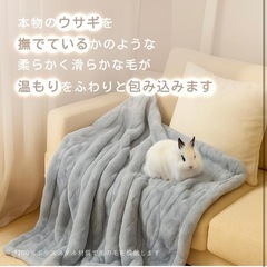 電気毛布 ひざ掛け ブランケット ラビットファー調 ふわふわ 180*140cmの画像