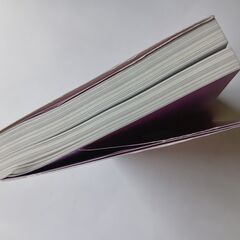 英語日記 表現辞典の画像