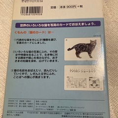公文式の猫カードの画像