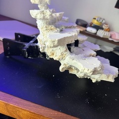 人工ライブロック白色 約5kg＋ 吊り下げ風レイアウト用の画像