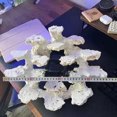 人工ライブロック白色 約5kg＋ 吊り下げ風レイアウト用の画像