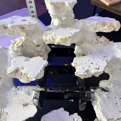 人工ライブロック白色 約5kg＋ 吊り下げ風レイアウト用の画像