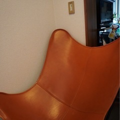 CUERO | BKF チェア MARIPOSAの画像