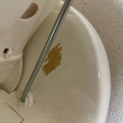 
バウンサーの画像