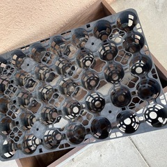 多肉トレーと木箱の画像