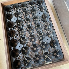 多肉トレーと木箱の画像