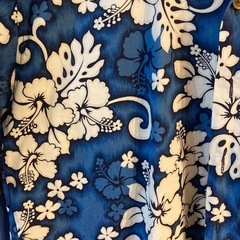 アロハシャツ　メンズ　Lの画像