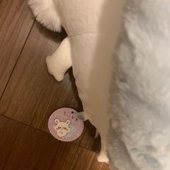 ももんが（超ビッグ）ちいかわの画像