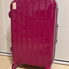 すスーツケースの画像