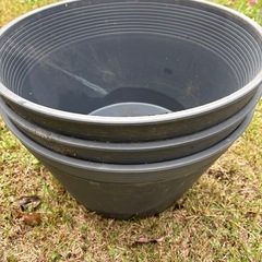 【メダカ】　飼育容器の画像