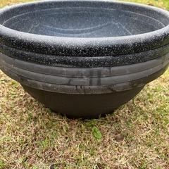 【メダカ】　飼育容器の画像