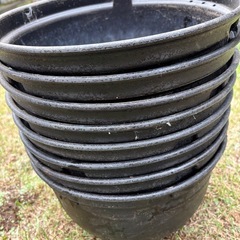 【メダカ】　飼育容器の画像