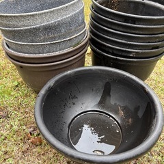 【メダカ】　飼育容器の画像