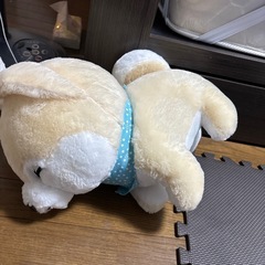 豆柴三兄弟の画像