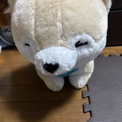 豆柴三兄弟の画像