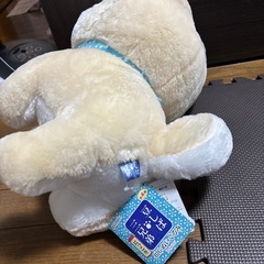 豆柴三兄弟の画像