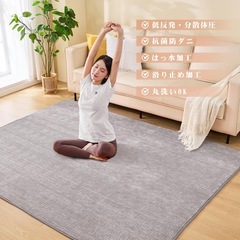 aicomri カーペット ラグマット
の画像