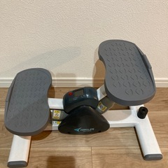 エアロライフ　サイドステッパーの画像