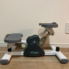 エアロライフ　サイドステッパーの画像