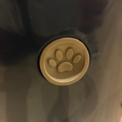 上から猫トイレの画像