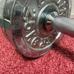 ダンベルセット 14.5kg×2の画像
