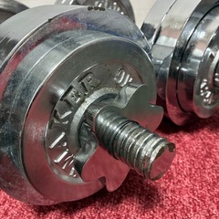 ダンベルセット 14.5kg×2の画像