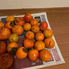 能勢産　　柿まとめての画像