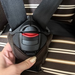 ほとんど使用してません。日本育児 トラベルベスト ECプラス ブラウンボーダー TV106の画像