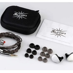 Kiwi Ears Quintetハイブリッド型 ハイエンドイヤホン マイク内蔵の画像