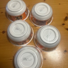 ［アミューズメント商品］日清どん兵衛鬼かき揚げ5個
の画像