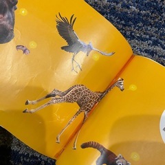 どうぶつえんのみんなの1日の画像