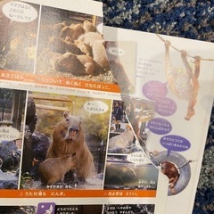 どうぶつえんのみんなの1日の画像