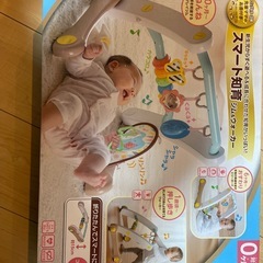 0ヶ月から遊べるスマート知育ジム&ウォーカーの画像