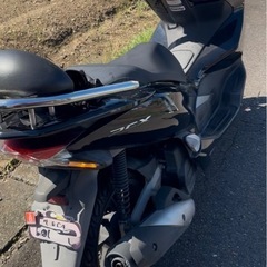 honda pcx 125の画像