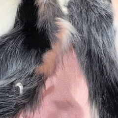 ファーコートの画像