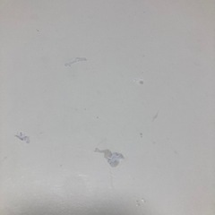 IKEA テーブル　LACKの画像