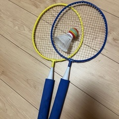 スプラトゥーン カイト　ミニバドミントンの画像