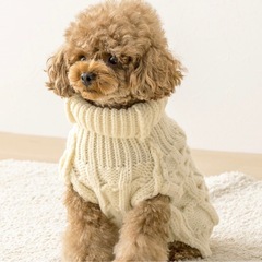 ペット用品・こたつ・ニット帽・ケーブルニット3点セットの画像