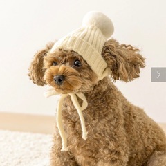 ペット用品・こたつ・ニット帽・ケーブルニット3点セットの画像