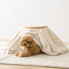 ペット用品・こたつ・ニット帽・ケーブルニット3点セットの画像